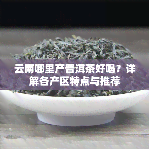 云南哪里产普洱茶好喝？详解各产区特点与推荐