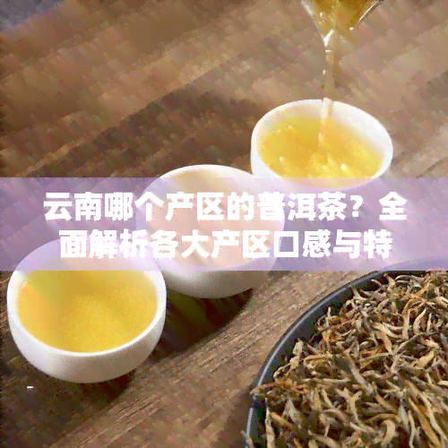 云南哪个产区的普洱茶？全面解析各大产区口感与特点