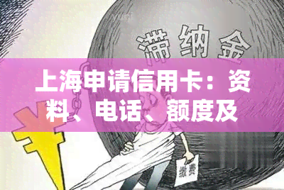 上海申请信用卡：资料、电话、额度及反诈全攻略