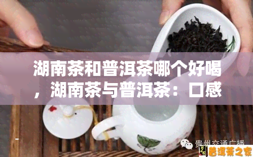 湖南茶和普洱茶哪个好喝，湖南茶与普洱茶：口感大比拼，哪个更胜一筹？