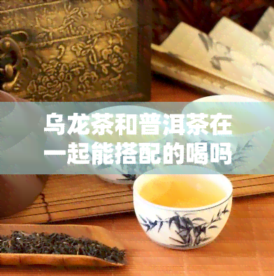 乌龙茶和普洱茶在一起能搭配的喝吗，探讨：乌龙茶与普洱茶能否混搭饮用？