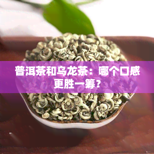 普洱茶和乌龙茶：哪个口感更胜一筹？