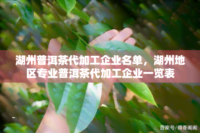 湖州普洱茶代加工企业名单，湖州地区专业普洱茶代加工企业一览表