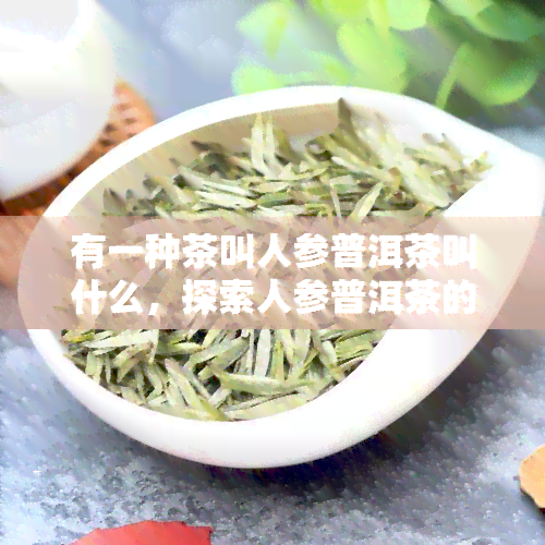 有一种茶叫人参普洱茶叫什么，探索人参普洱茶的神秘面纱：揭秘其独特之处