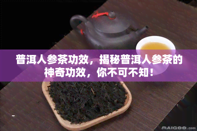 普洱人参茶功效，揭秘普洱人参茶的神奇功效，你不可不知！