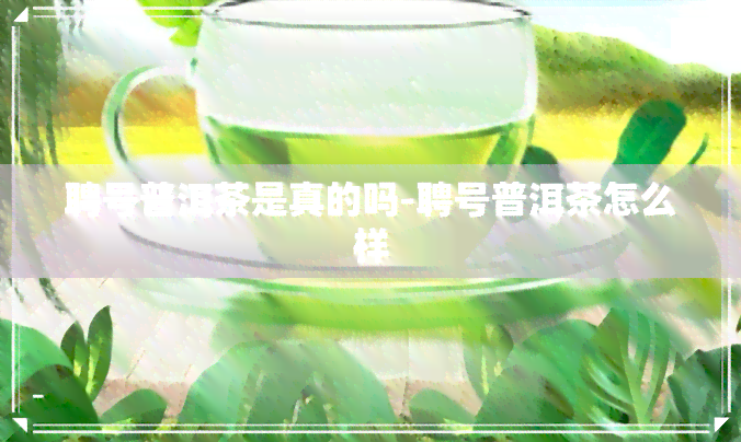 聘号普洱茶是真的吗-聘号普洱茶怎么样