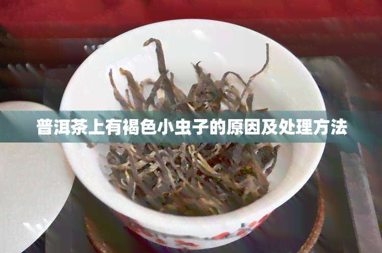 普洱茶上有褐色小虫子的原因及处理方法