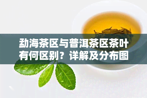 勐海茶区与普洱茶区茶叶有何区别？详解及分布图