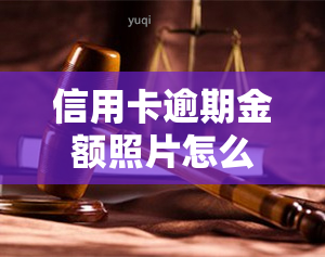 信用卡逾期金额照片怎么拍，如何拍摄信用卡逾期金额照片？步骤详解！