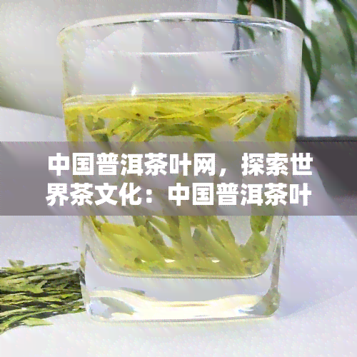 中国普洱茶叶网，探索世界茶文化：中国普洱茶叶网带你品味千年古韵