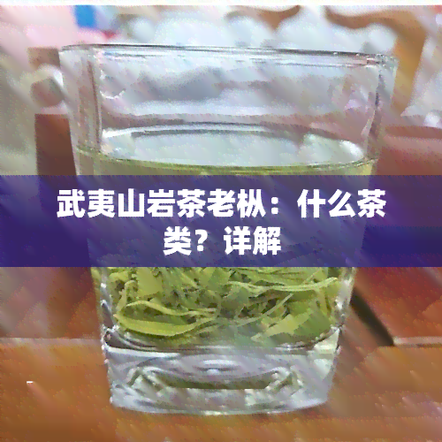 武夷山岩茶老枞：什么茶类？详解