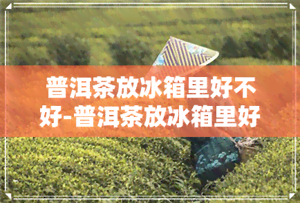 普洱茶放冰箱里好不好-普洱茶放冰箱里好不好喝