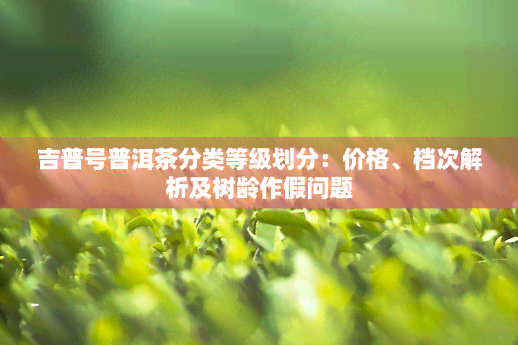 吉普号普洱茶分类等级划分：价格、档次解析及树龄作假问题