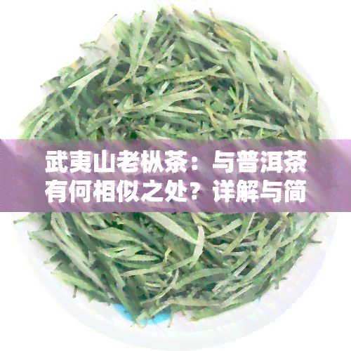 武夷山老枞茶：与普洱茶有何相似之处？详解与简介