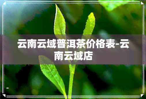 云南云域普洱茶价格表-云南云域店