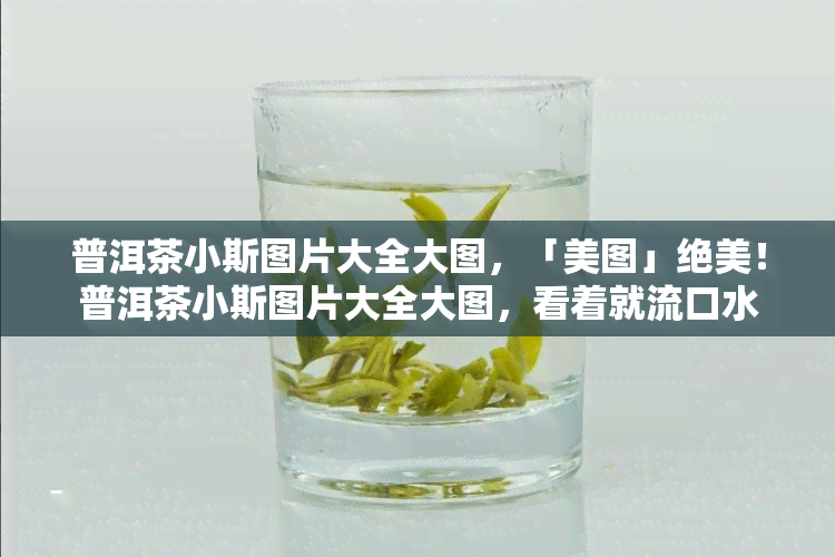 普洱茶小斯图片大全大图，「美图」绝美！普洱茶小斯图片大全大图，看着就流口水