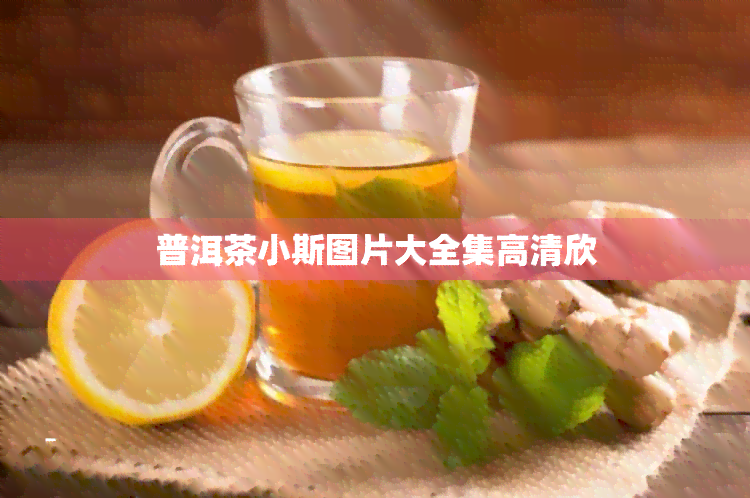 普洱茶小斯图片大全集高清欣