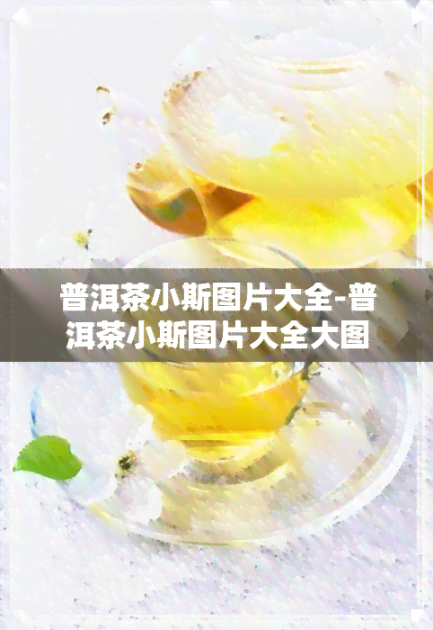 普洱茶小斯图片大全-普洱茶小斯图片大全大图