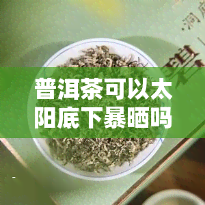 普洱茶可以太阳底下暴晒吗，不要让普洱茶在太阳下暴晒！正确的存方法是什么？