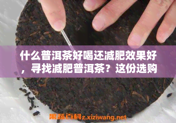 什么普洱茶好喝还减肥效果好，寻找减肥普洱茶？这份选购指南帮你找到！