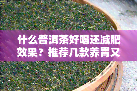 什么普洱茶好喝还减肥效果？推荐几款养胃又瘦身的普洱茶