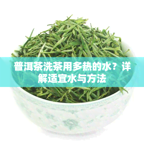 普洱茶洗茶用多热的水？详解适宜水与方法