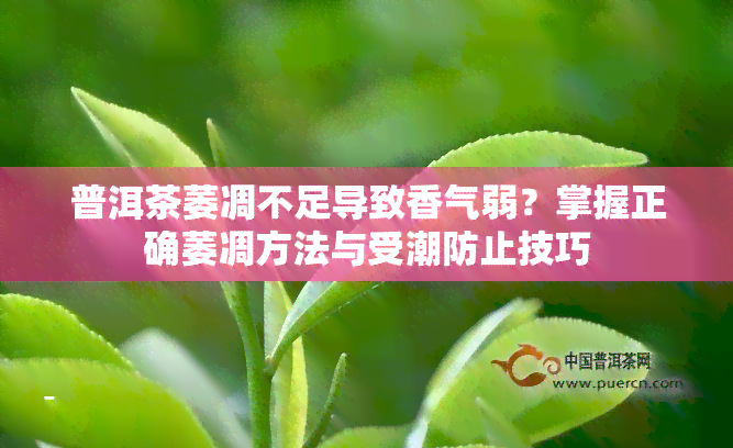 普洱茶萎凋不足导致香气弱？掌握正确萎凋方法与受潮防止技巧