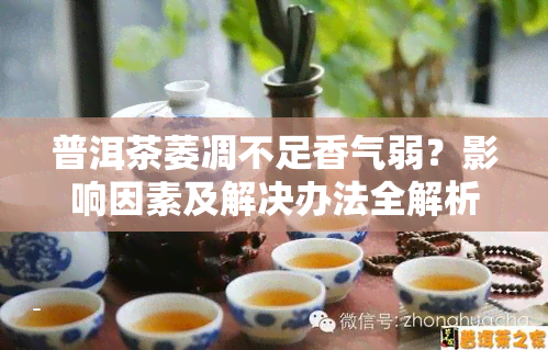 普洱茶萎凋不足香气弱？影响因素及解决办法全解析