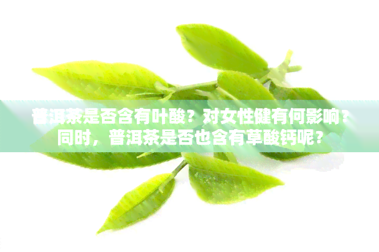 普洱茶是否含有叶酸？对女性健有何影响？同时，普洱茶是否也含有草酸钙呢？