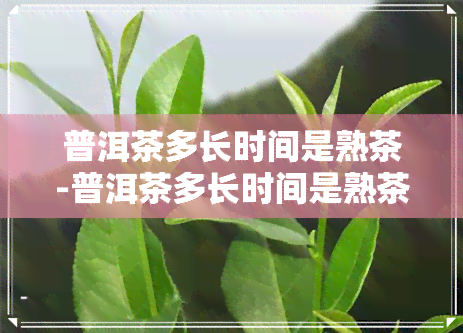 普洱茶多长时间是熟茶-普洱茶多长时间是熟茶啊