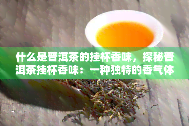 什么是普洱茶的挂杯香味，探秘普洱茶挂杯香味：一种独特的香气体验