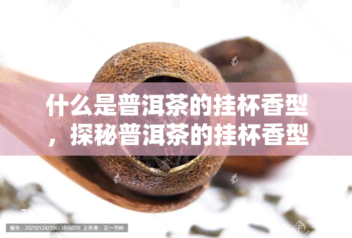 什么是普洱茶的挂杯香型，探秘普洱茶的挂杯香型：你了解多少？