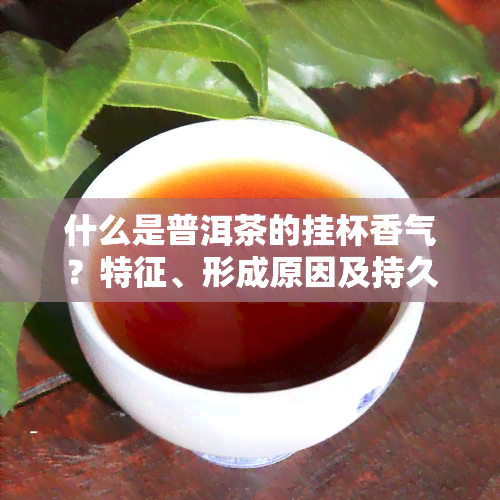 什么是普洱茶的挂杯香气？特征、形成原因及持久性解析