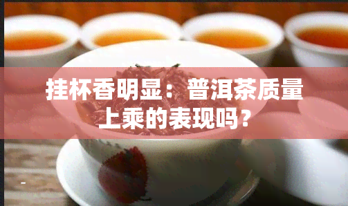 挂杯香明显：普洱茶质量上乘的表现吗？