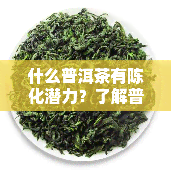 什么普洱茶有陈化潜力？了解普洱茶陈化与未陈化之间的区别与选择