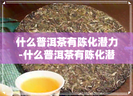 什么普洱茶有陈化潜力-什么普洱茶有陈化潜力的