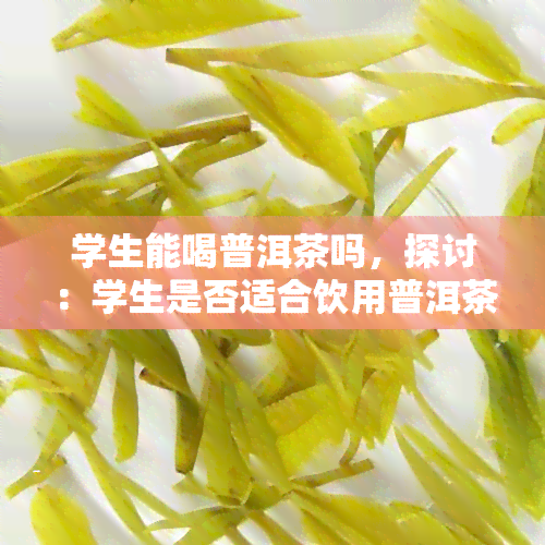 学生能喝普洱茶吗，探讨：学生是否适合饮用普洱茶？