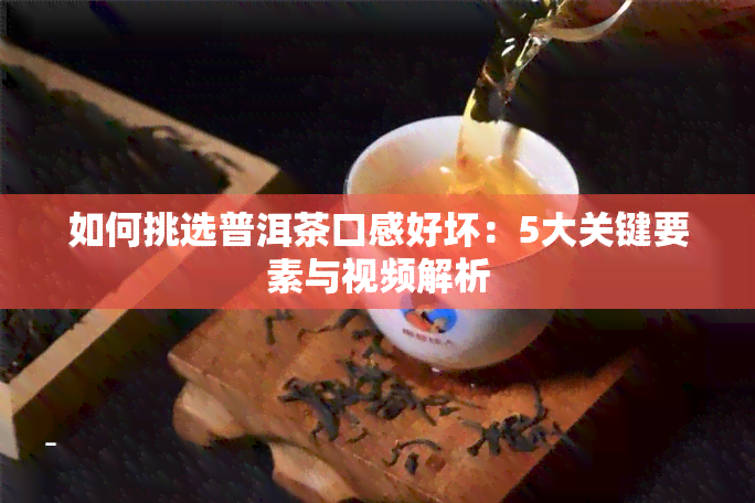 如何挑选普洱茶口感好坏：5大关键要素与视频解析