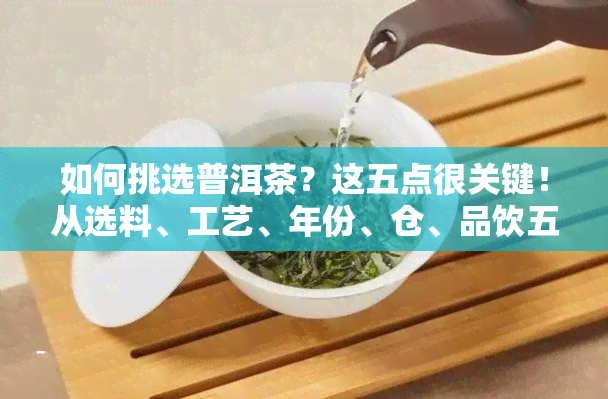 如何挑选普洱茶？这五点很关键！从选料、工艺、年份、仓、品饮五个方面教你辨别优质普洱茶。