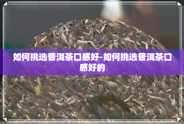 如何挑选普洱茶口感好-如何挑选普洱茶口感好的