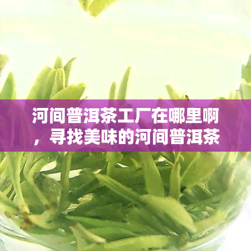 河间普洱茶工厂在哪里啊，寻找美味的河间普洱茶？揭秘河间普洱茶工厂位置！