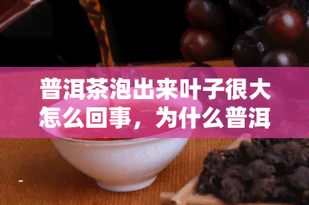 普洱茶泡出来叶子很大怎么回事，为什么普洱茶泡出来叶子那么大？