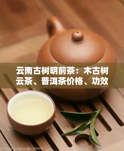 云南古树明前茶：木古树云茶、普洱茶价格、功效与作用全解析