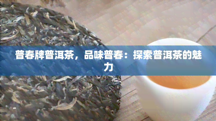 普春牌普洱茶，品味普春：探索普洱茶的魅力