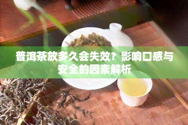 普洱茶放多久会失效？影响口感与安全的因素解析