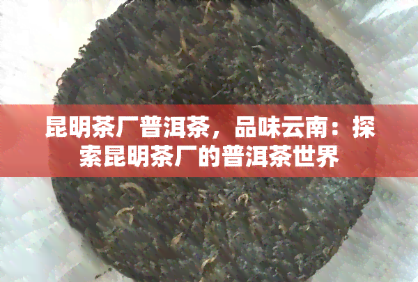 昆明茶厂普洱茶，品味云南：探索昆明茶厂的普洱茶世界