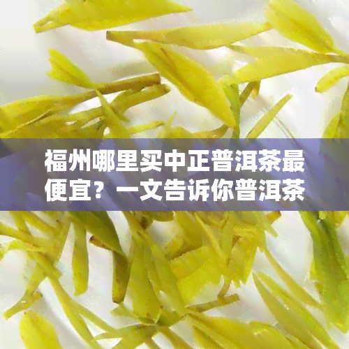 福州哪里买中正普洱茶更便宜？一文告诉你普洱茶店与场位置！