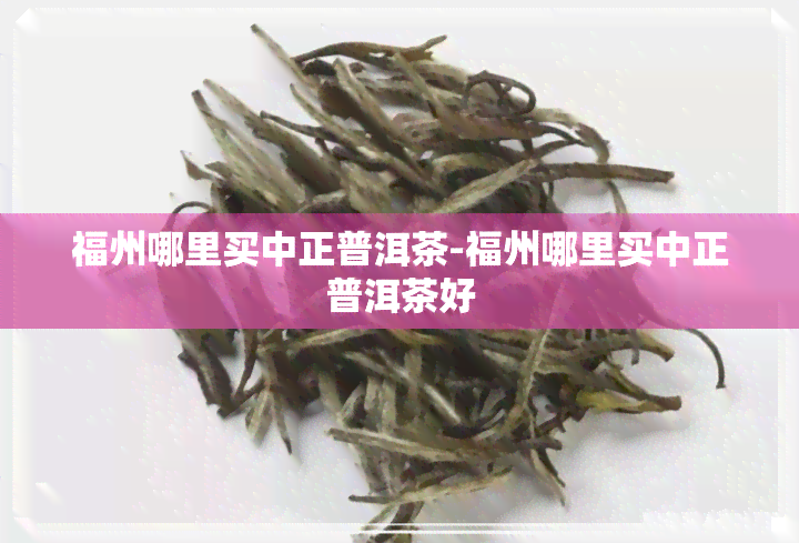 福州哪里买中正普洱茶-福州哪里买中正普洱茶好