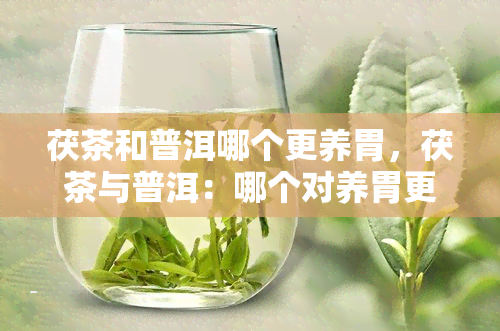 茯茶和普洱哪个更养胃，茯茶与普洱：哪个对养胃更有帮助？