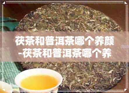 茯茶和普洱茶哪个养颜-茯茶和普洱茶哪个养颜效果好